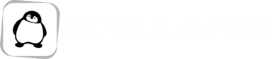 Brillarix Logo